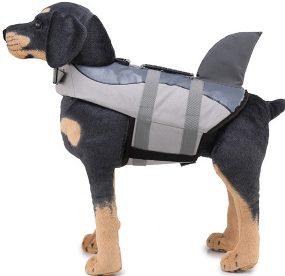 Best Life Jacket for Dogs in 2022