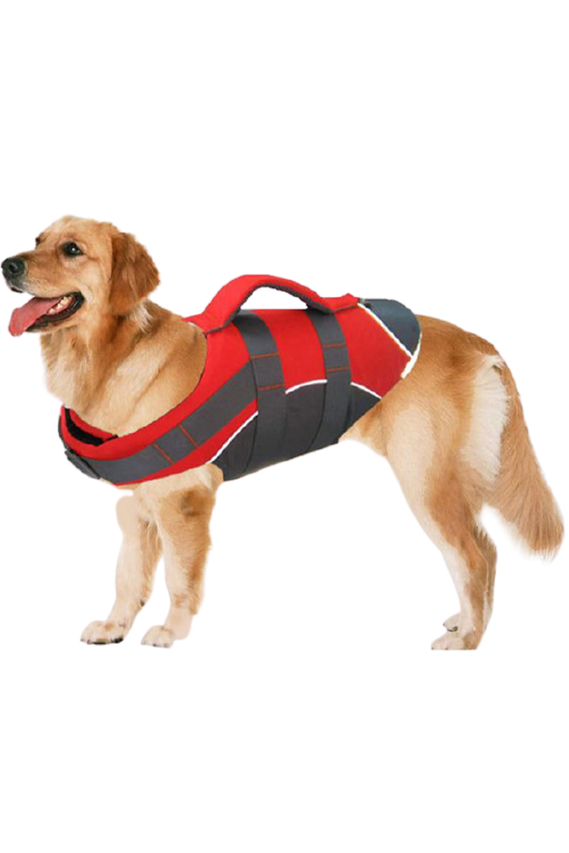 Small Dog Life Vests/Jackets Free Shipping